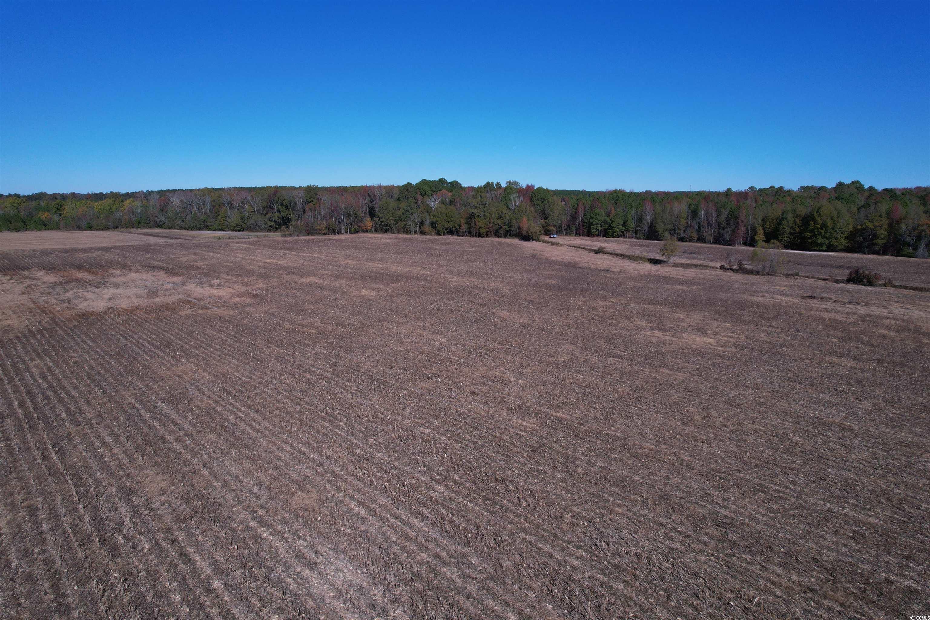 53.86-acres-tbd Pate Road Bishopville, SC 29010 - Photo 16 of 19