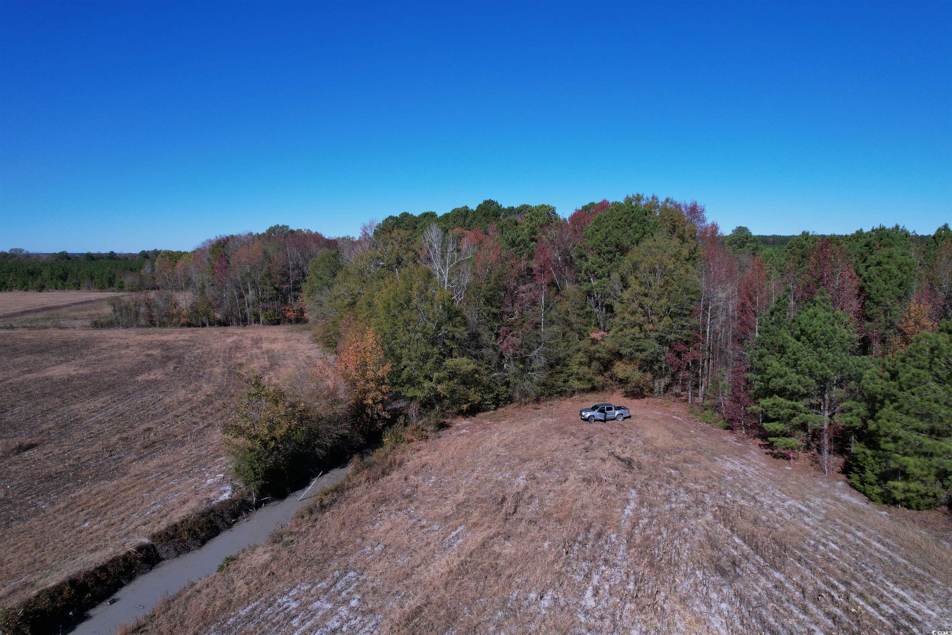 53.86-acres-tbd Pate Road Bishopville, SC 29010 - Photo 17 of 19