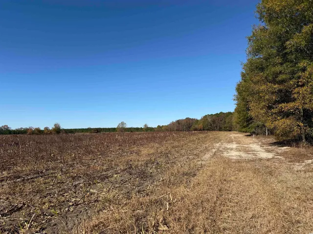 $249,000 | 53.86-acres-tbd Pate Road, Bishopville, SC 29010