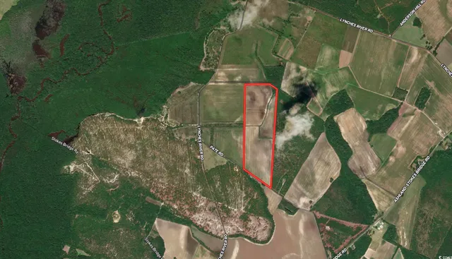 $249,000 | 53.86-acres-tbd Pate Road, Bishopville, SC 29010