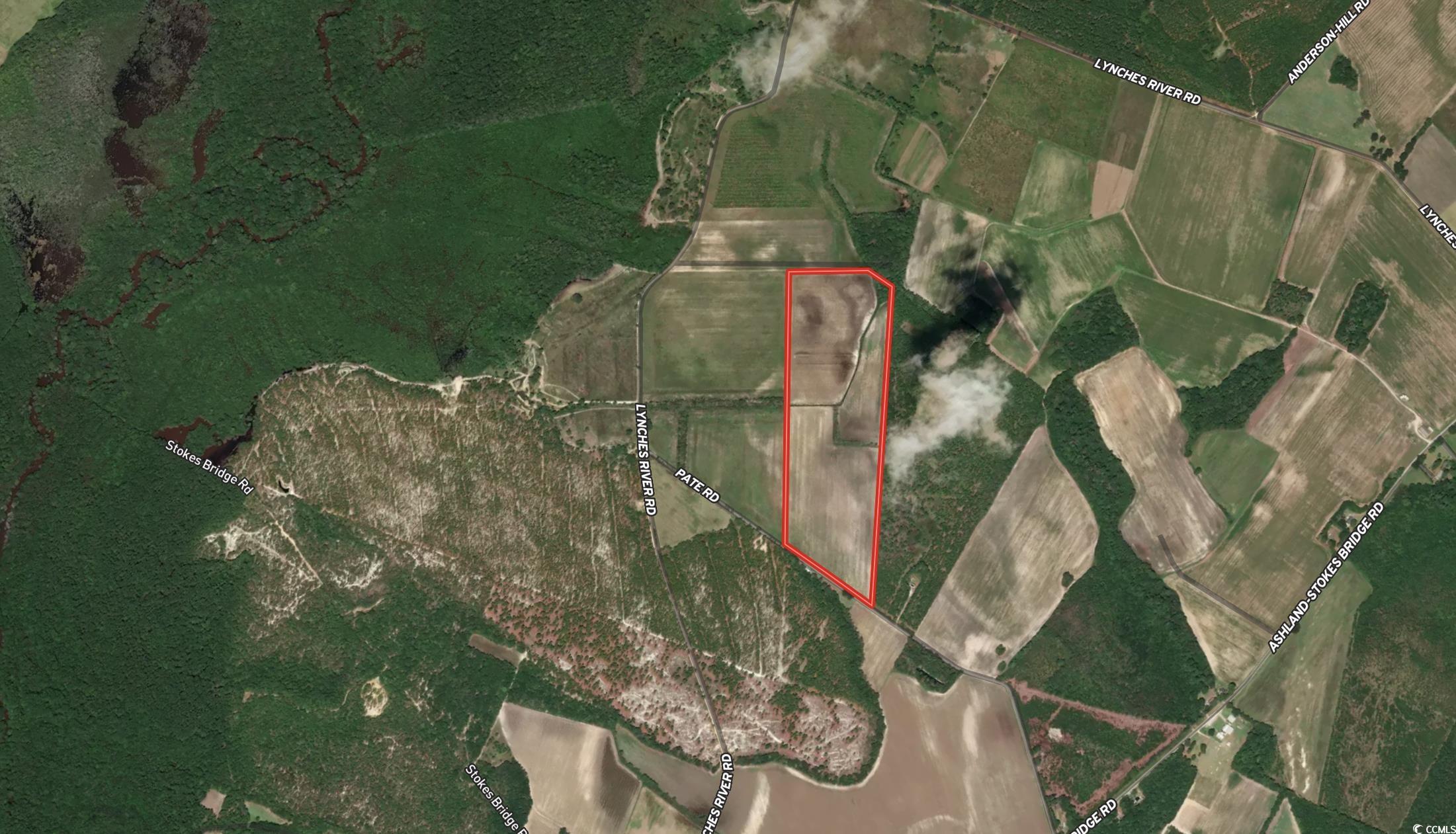 53.86-acres-tbd Pate Road Bishopville, SC 29010 - Photo 19 of 19