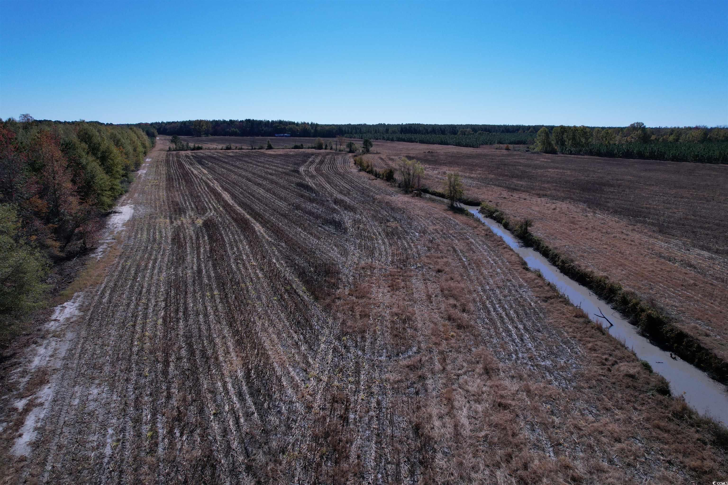 53.86-acres-tbd Pate Road Bishopville, SC 29010 - Photo 2 of 19