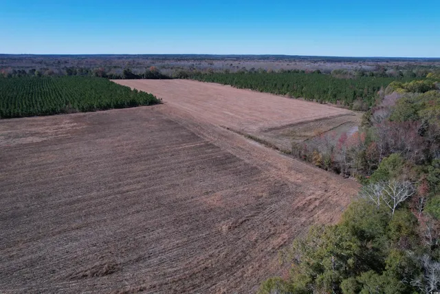 $249,000 | 53.86-acres-tbd Pate Road, Bishopville, SC 29010