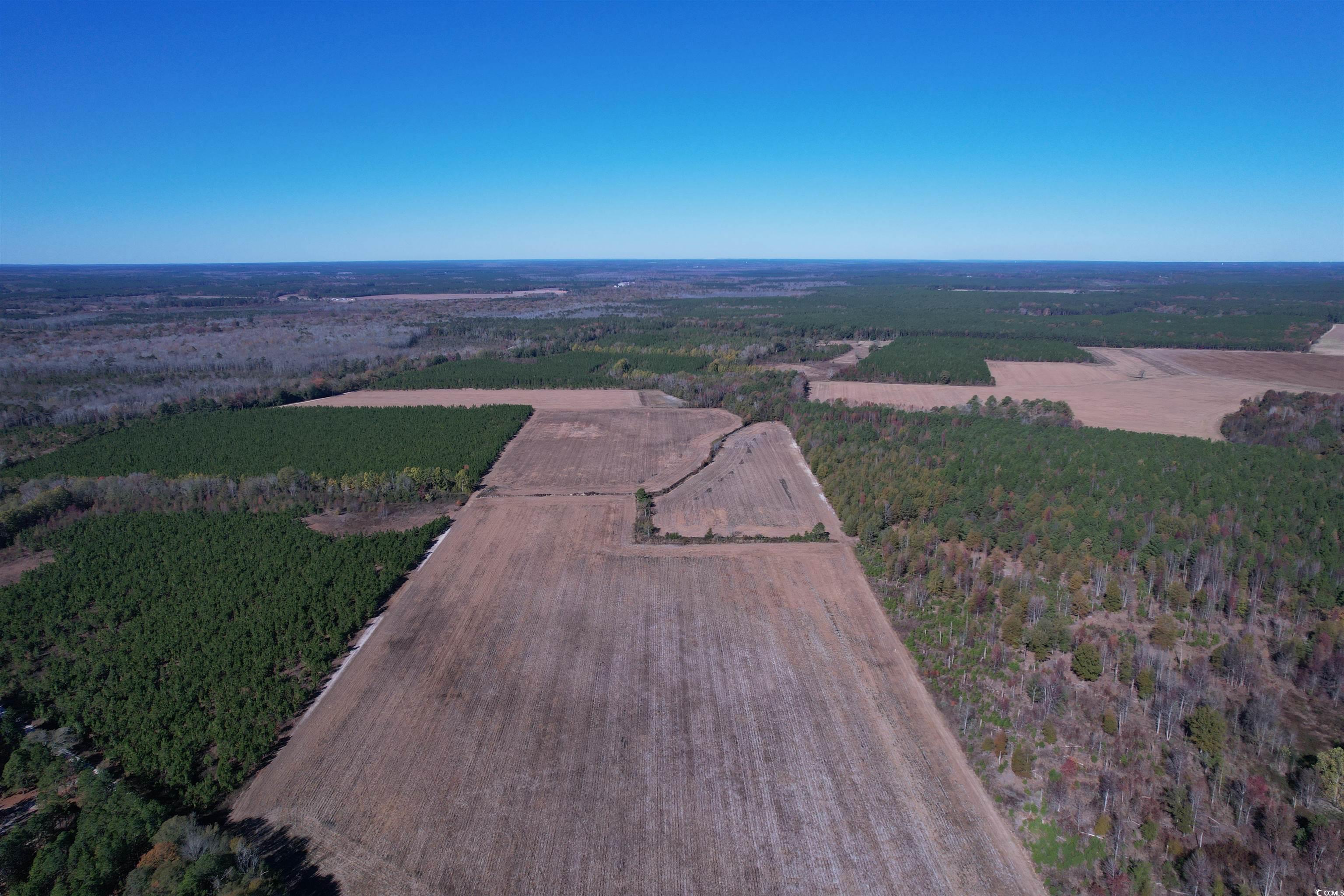 53.86-acres-tbd Pate Road Bishopville, SC 29010 - Photo 4 of 19