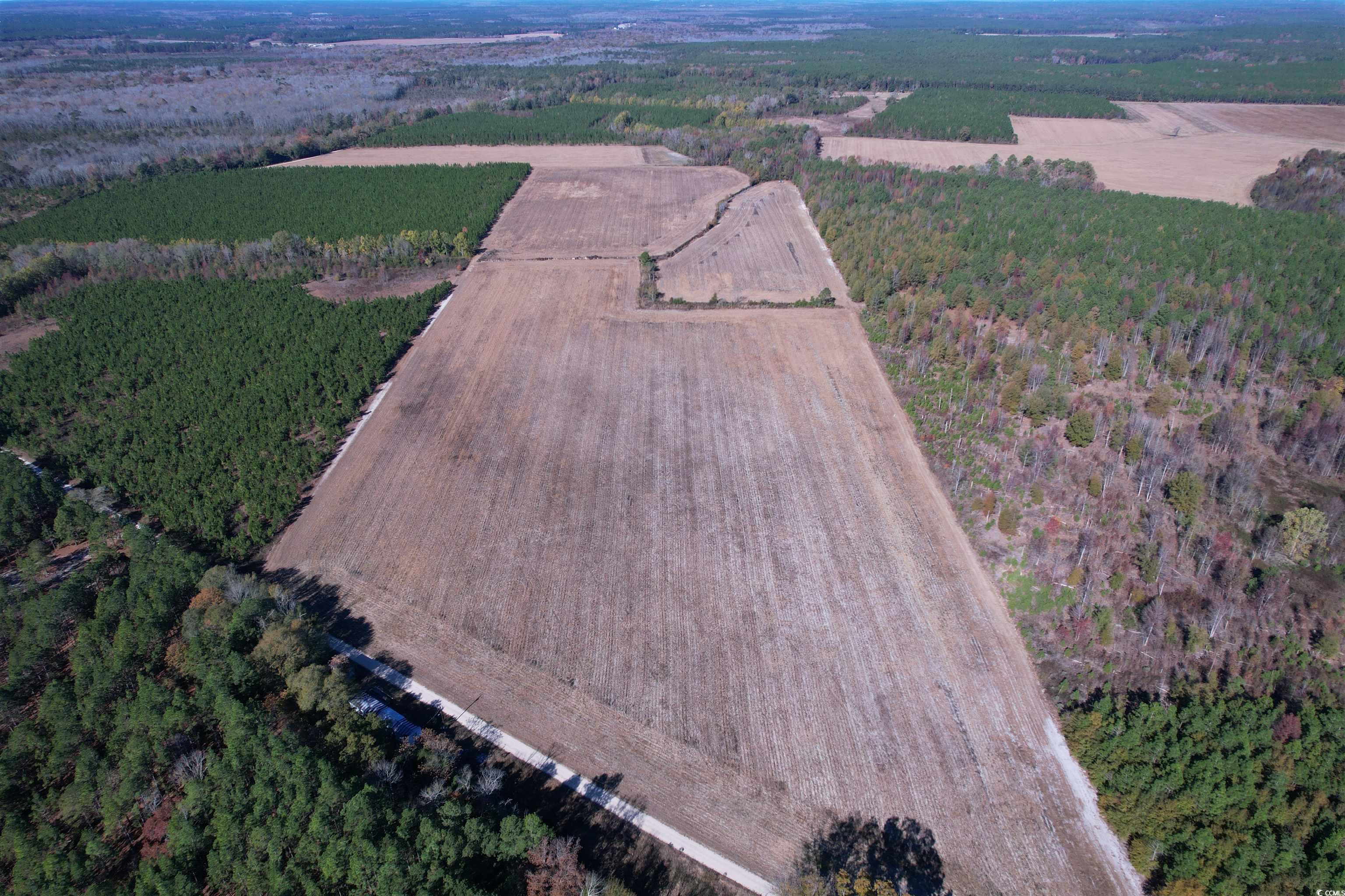 53.86-acres-tbd Pate Road Bishopville, SC 29010 - Photo 5 of 19