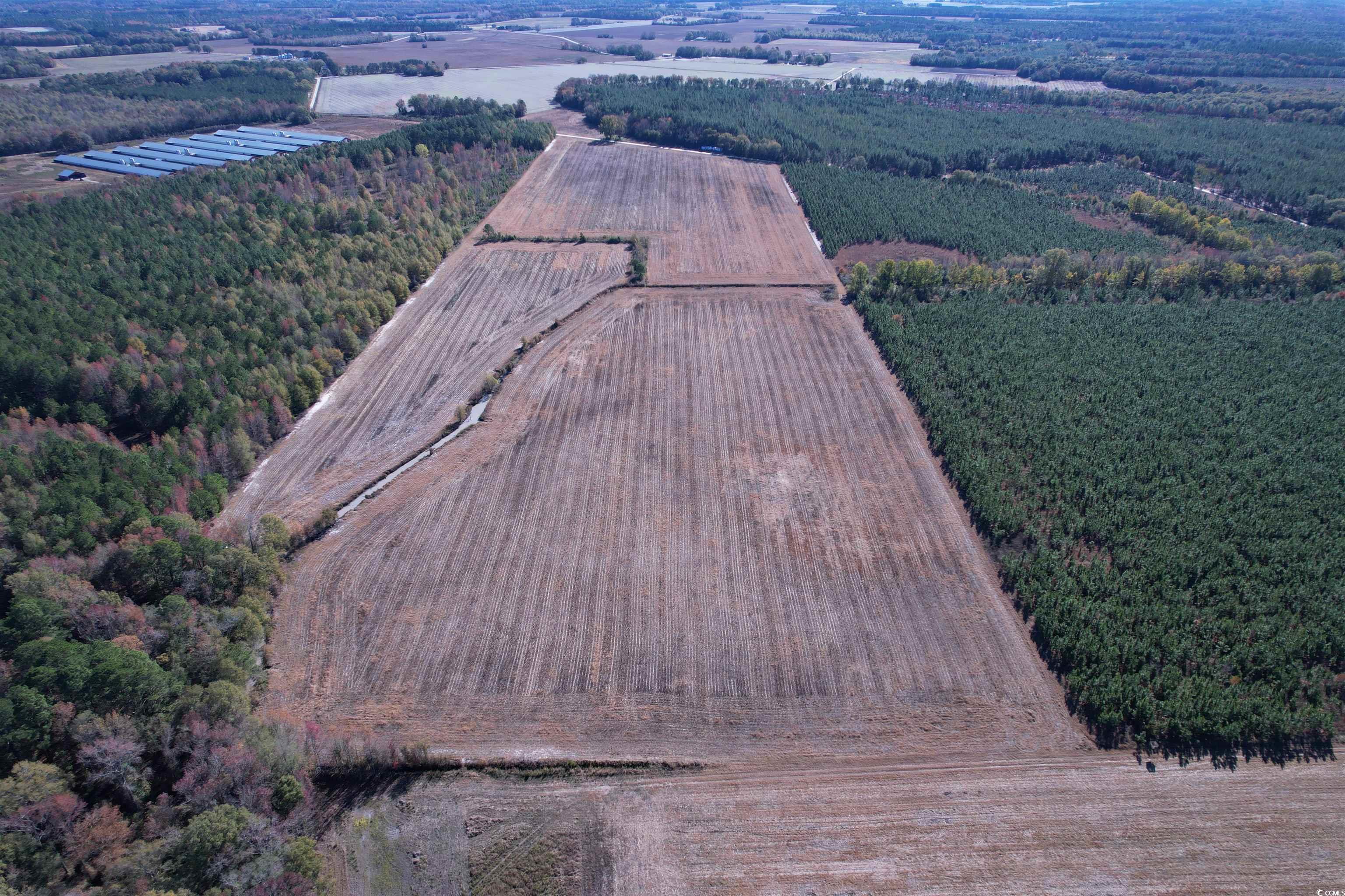 53.86-acres-tbd Pate Road Bishopville, SC 29010 - Photo 6 of 19