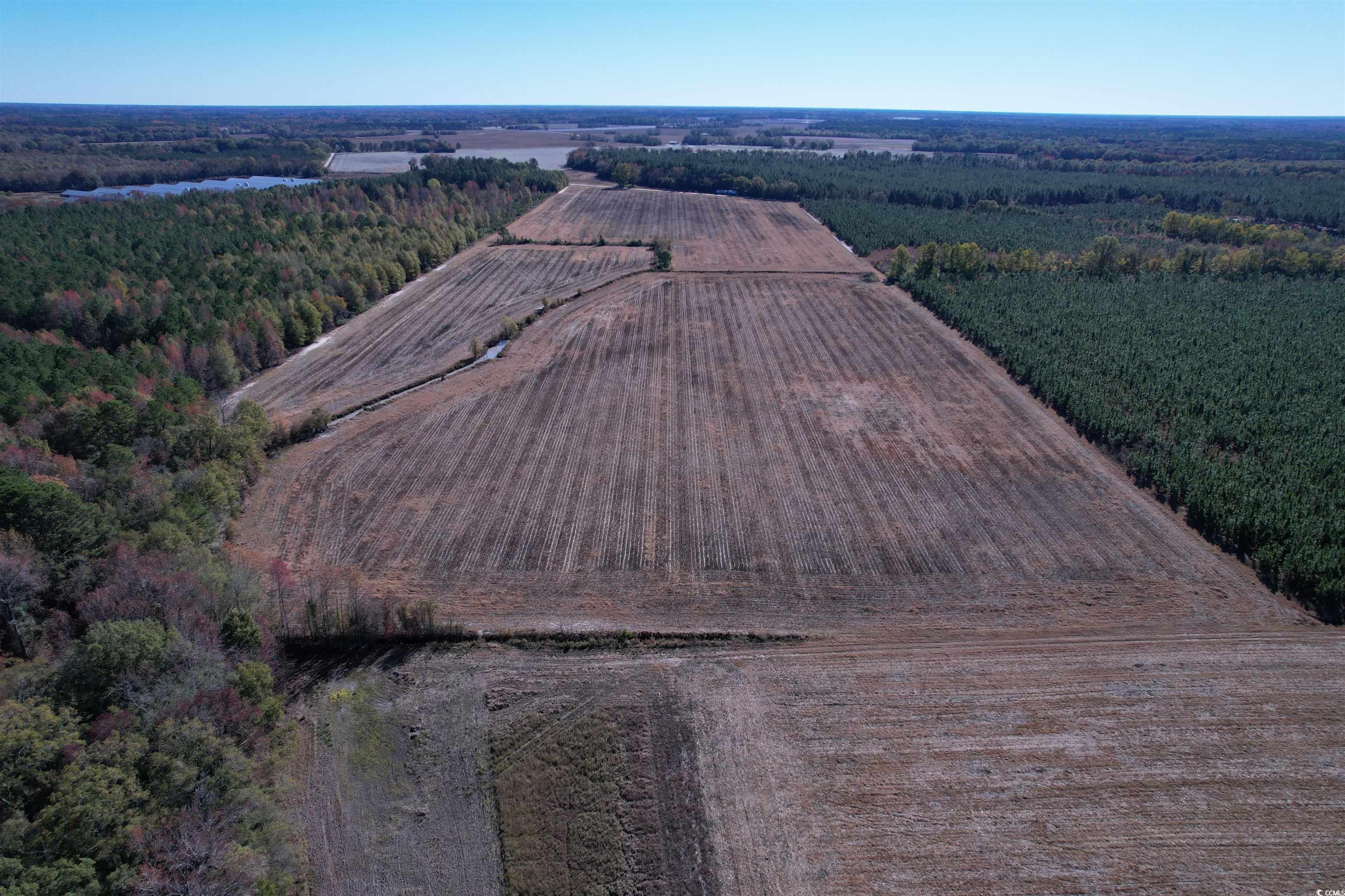 53.86-acres-tbd Pate Road Bishopville, SC 29010 - Photo 7 of 19