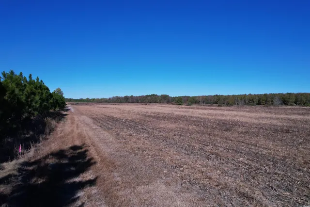 $249,000 | 53.86-acres-tbd Pate Road, Bishopville, SC 29010