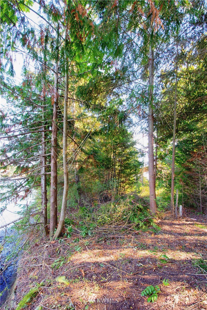 -xx Xx Road Nordland, WA 98358 - Photo 16 of 16 Gallery Image 16