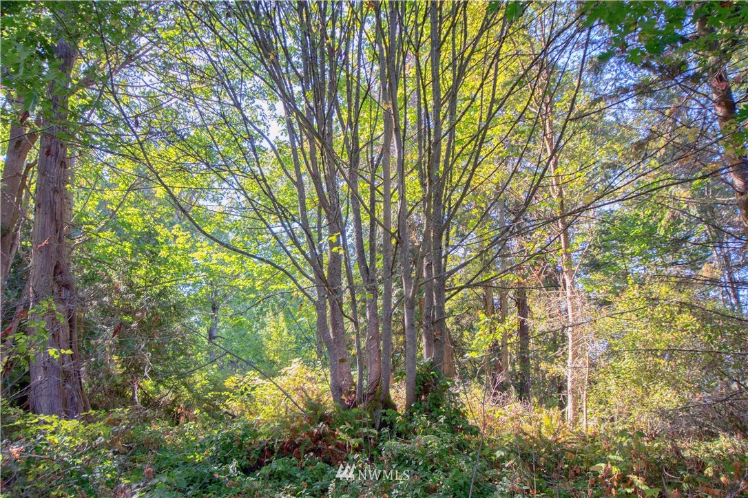-xx Xx Road Nordland, WA 98358 - Photo 5 of 16 Gallery Image 5