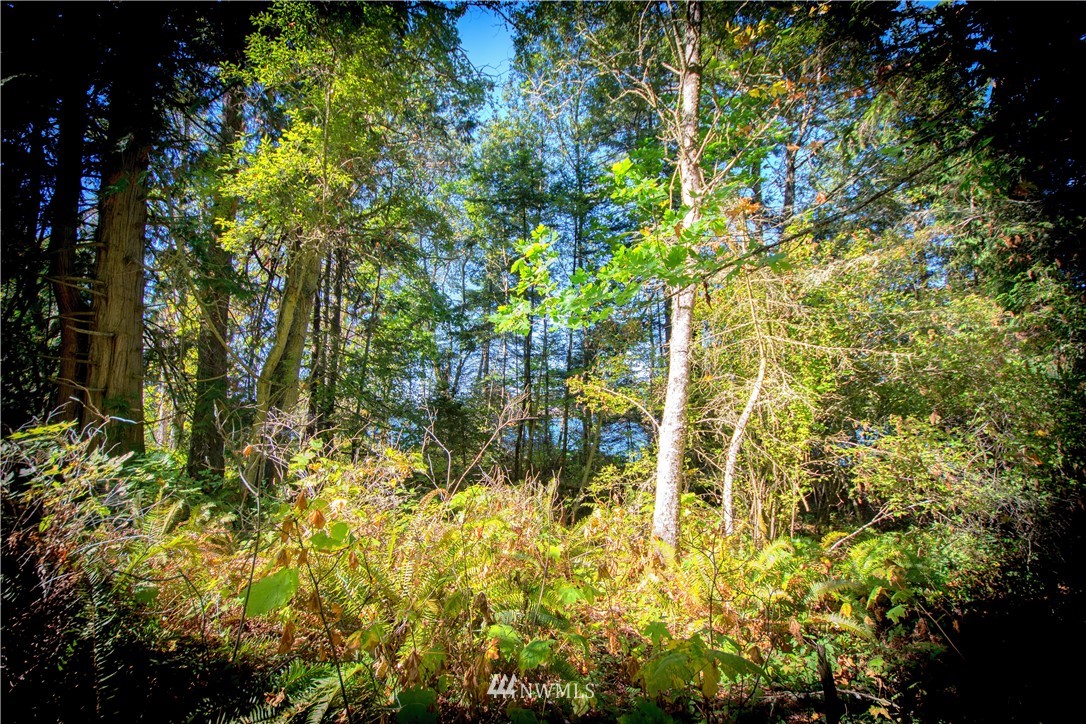 -xx Xx Road Nordland, WA 98358 - Photo 6 of 16 Gallery Image 6