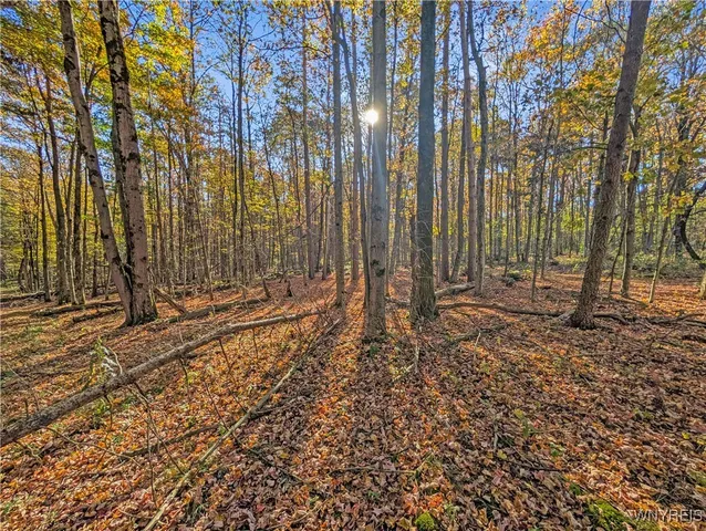 $174,900 | 0 Pee Dee Road, Bliss, NY 14024