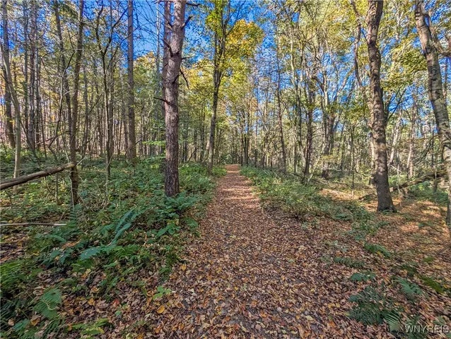 $174,900 | 0 Pee Dee Road, Bliss, NY 14024