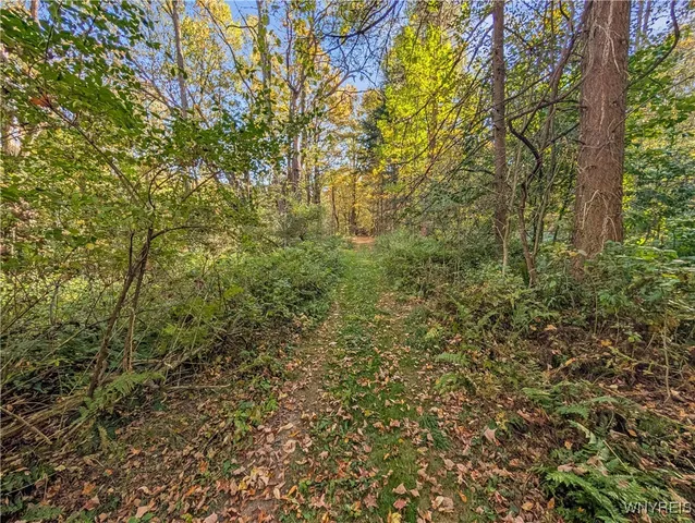 $174,900 | 0 Pee Dee Road, Bliss, NY 14024