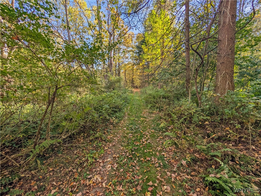 0 Pee Dee Road Bliss, NY 14024 - Photo 13 of 20