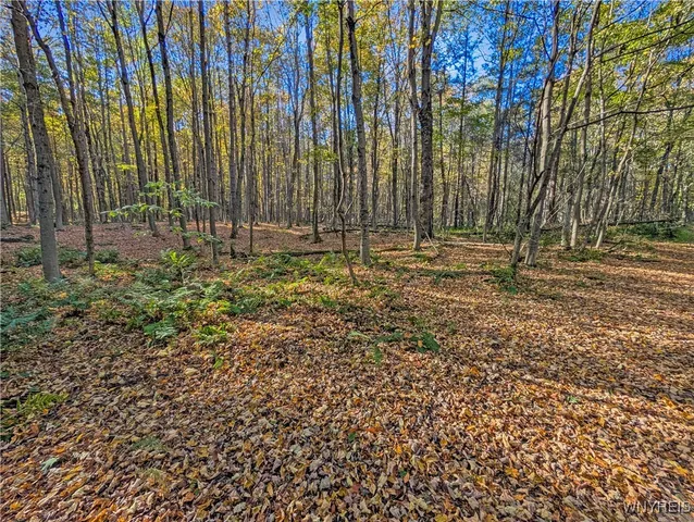 $174,900 | 0 Pee Dee Road, Bliss, NY 14024