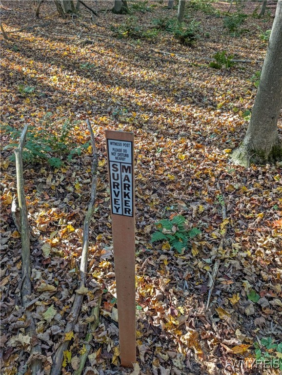 0 Pee Dee Road Bliss, NY 14024 - Photo 15 of 20