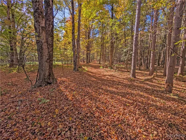 $174,900 | 0 Pee Dee Road, Bliss, NY 14024