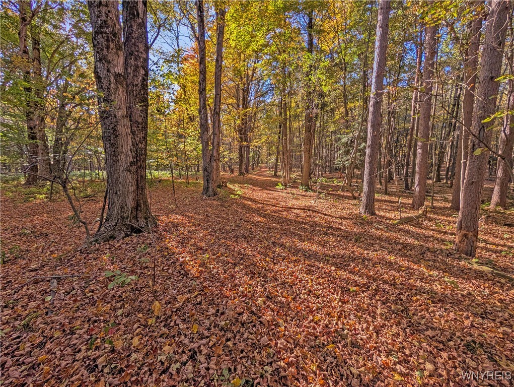 0 Pee Dee Road Bliss, NY 14024 - Photo 16 of 20