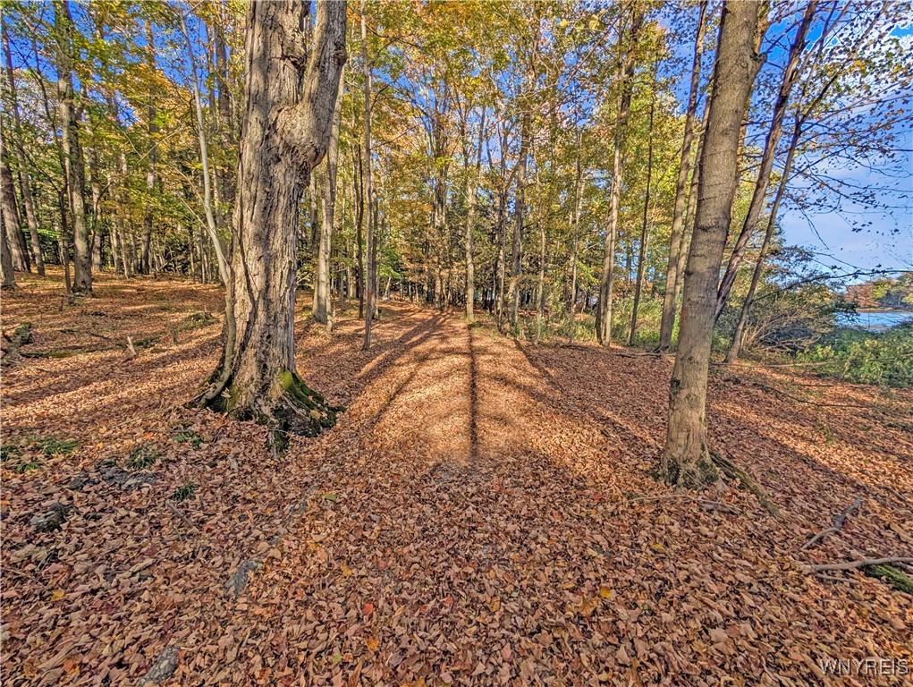 0 Pee Dee Road Bliss, NY 14024 - Photo 17 of 20