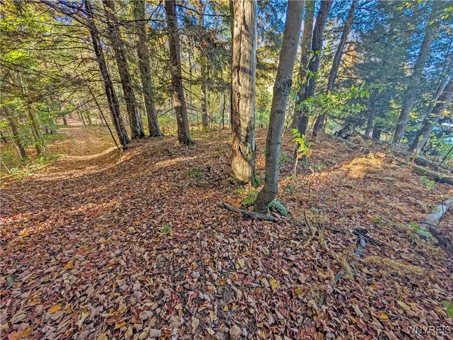 $174,900 | 0 Pee Dee Road, Bliss, NY 14024