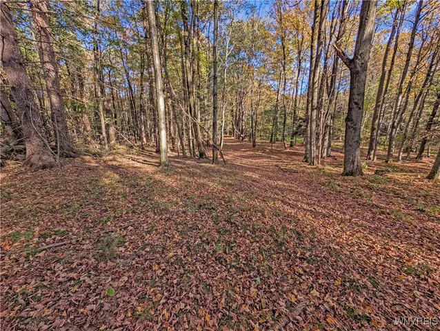 $174,900 | 0 Pee Dee Road, Bliss, NY 14024