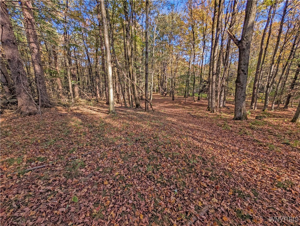 0 Pee Dee Road Bliss, NY 14024 - Photo 19 of 20