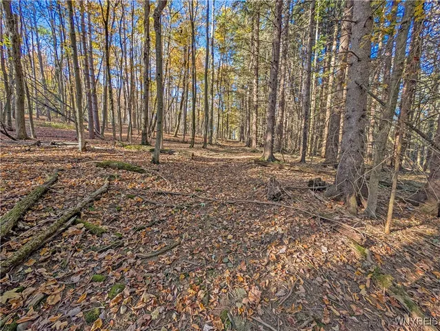 $174,900 | 0 Pee Dee Road, Bliss, NY 14024