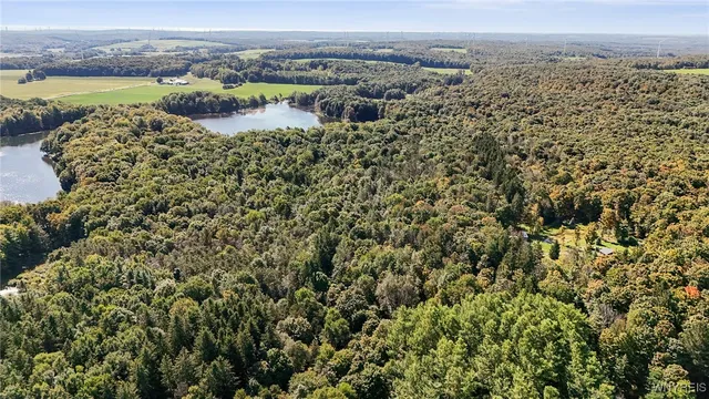 $174,900 | 0 Pee Dee Road, Bliss, NY 14024