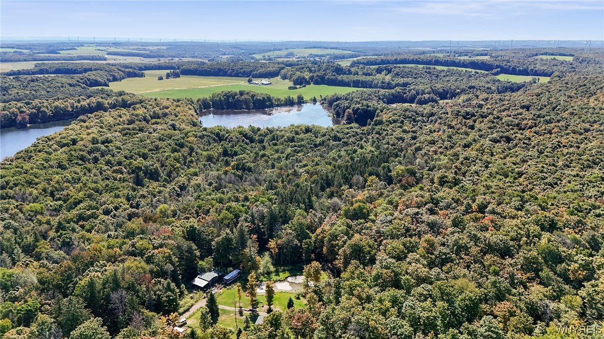 0 Pee Dee Road Bliss, NY 14024 - Photo 4 of 20