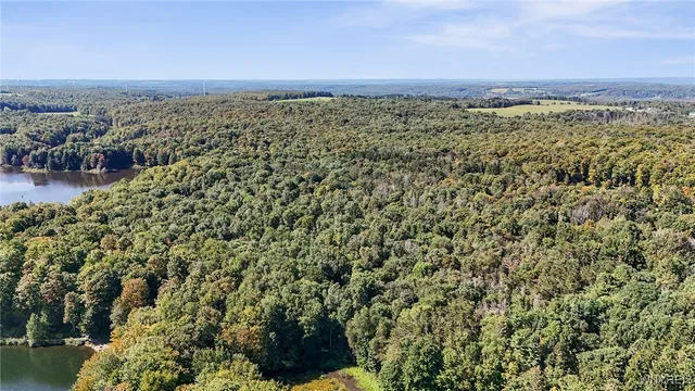 $174,900 | 0 Pee Dee Road, Bliss, NY 14024