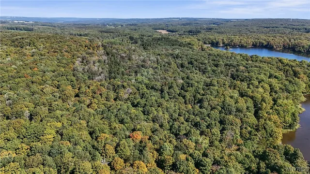 $174,900 | 0 Pee Dee Road, Bliss, NY 14024