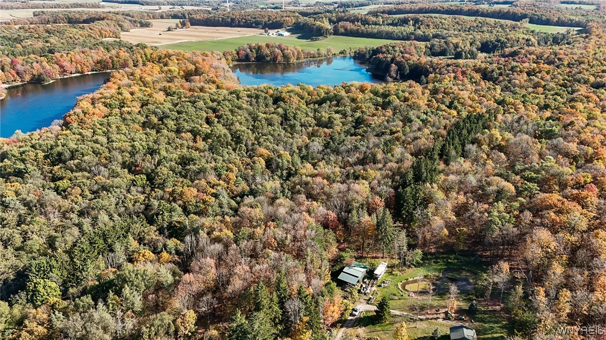 0 Pee Dee Road Bliss, NY 14024 - Photo 8 of 20