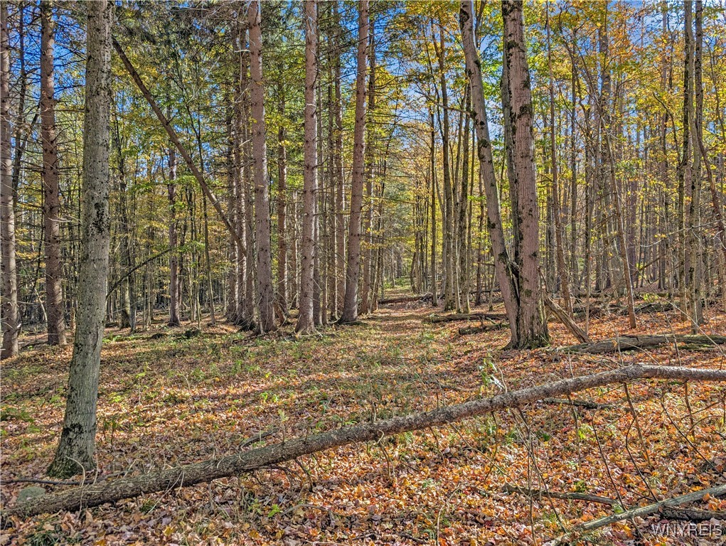 0 Pee Dee Road Bliss, NY 14024 - Photo 9 of 20