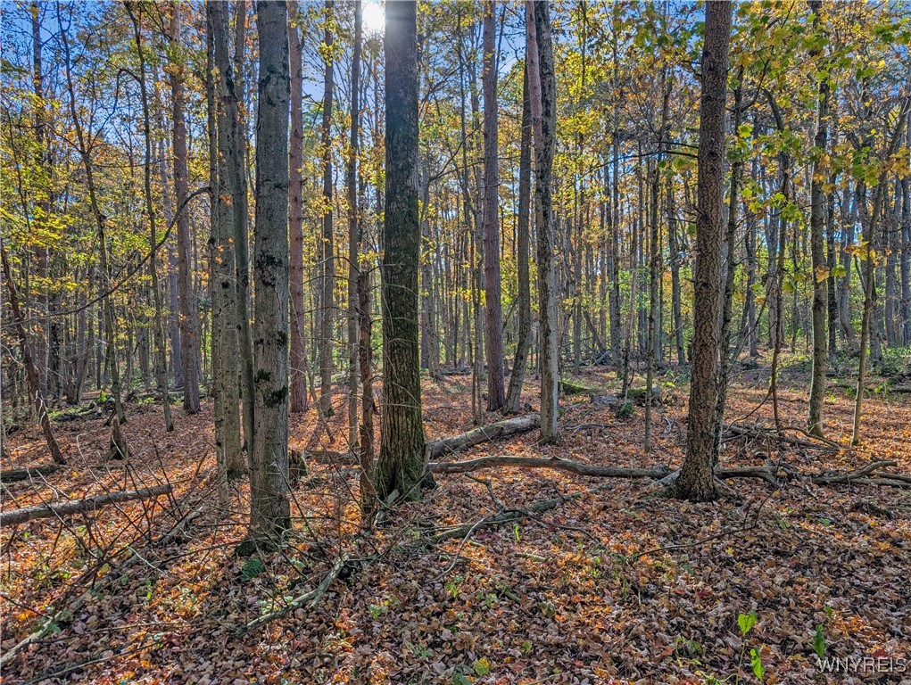 0 Pee Dee Road Bliss, NY 14024 - Photo 10 of 20