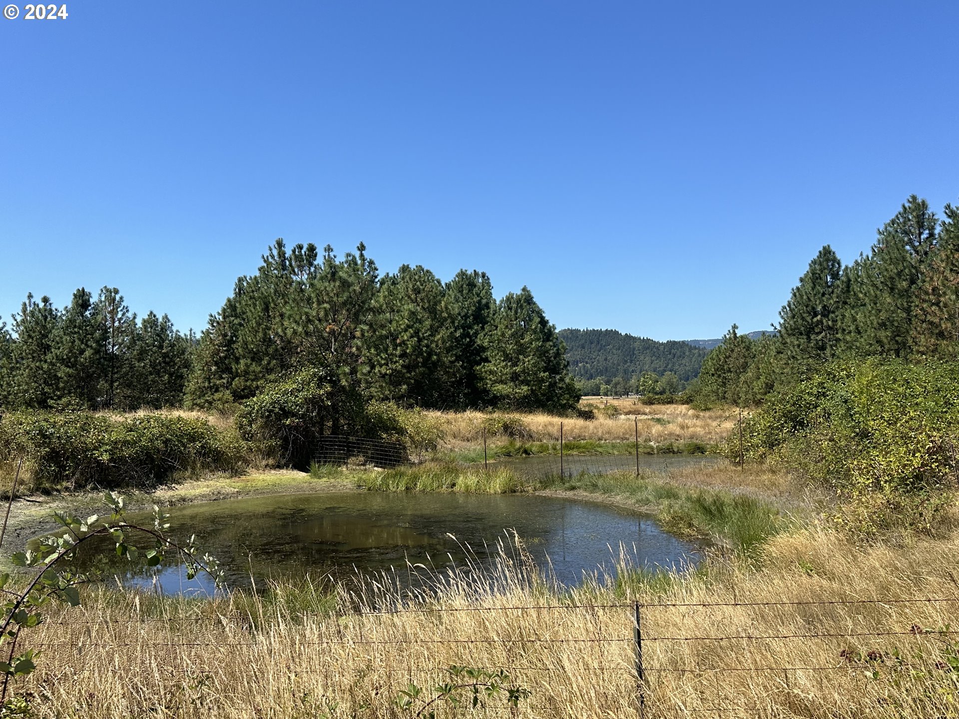 0 Dairy Loop Road Roseburg, OR 97471 - Photo 11 of 14 Gallery Image 11
