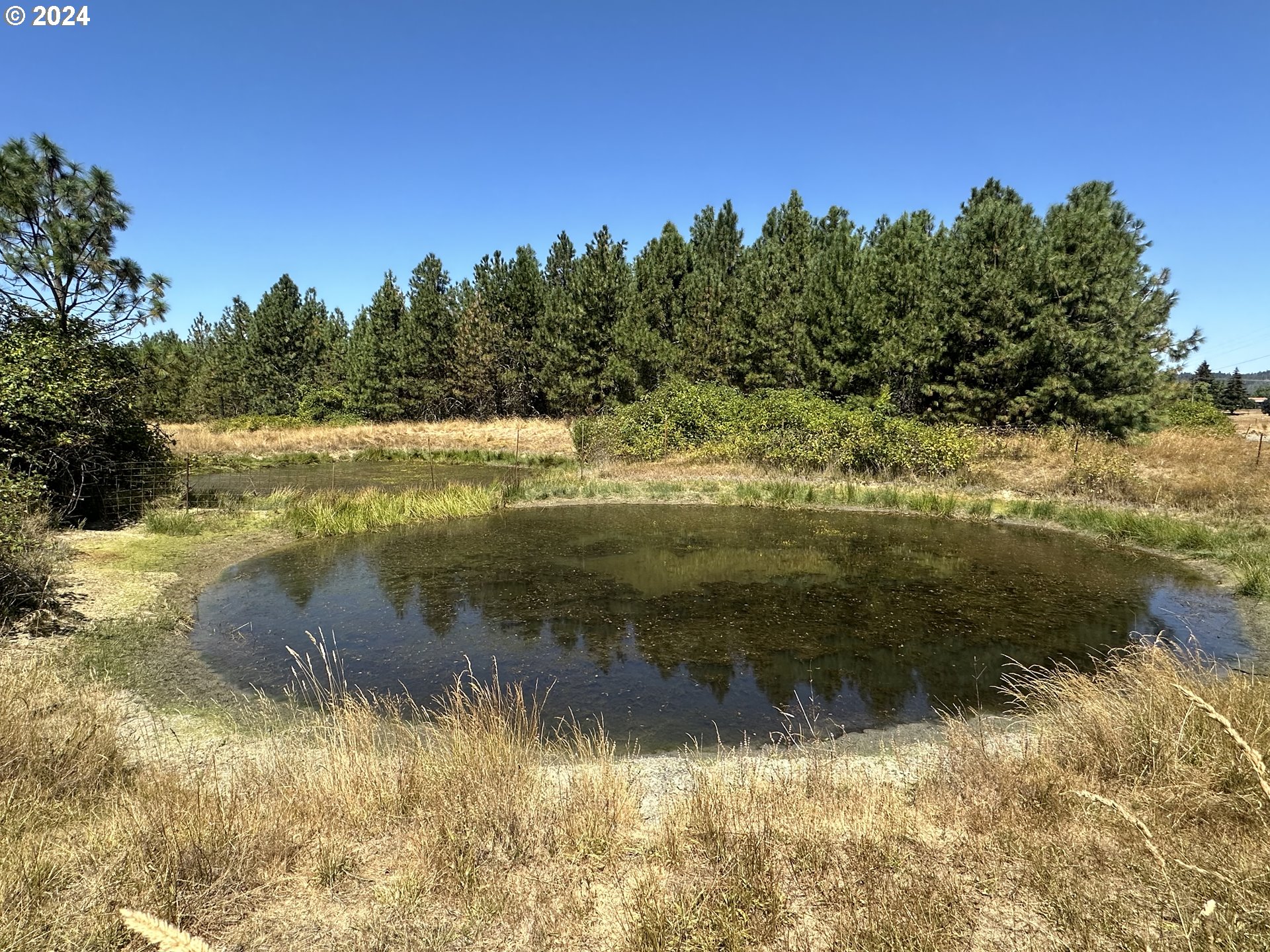 0 Dairy Loop Road Roseburg, OR 97471 - Photo 8 of 14 Gallery Image 8
