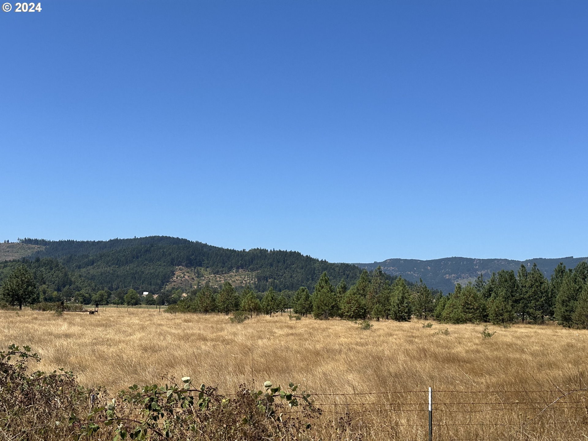 0 Dairy Loop Road Roseburg, OR 97471 - Photo 9 of 14 Gallery Image 9