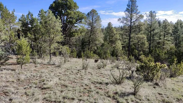 $95,000 | 2316 Thunderbird Way, Overgaard, AZ 85933