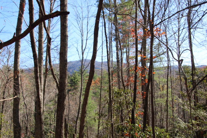 0 Divide Road Mountain City, TN 37683 - Photo 13 of 13 MORE MOUNTAIN VIEWS!