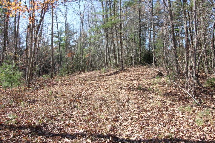ROAD ON PROPERTY
