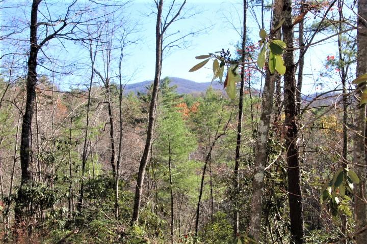 NO RESTRICTIONS - MTN VIEWS