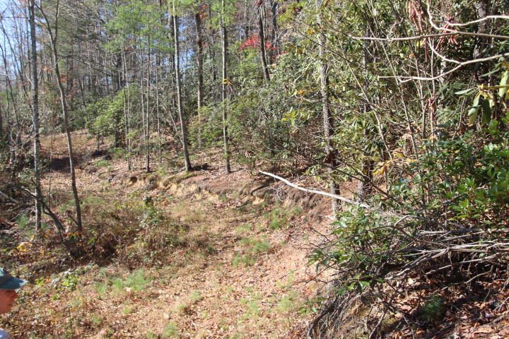 0 Divide Road Mountain City, TN 37683 - Photo 8 of 13 HIKING TRAILS - HUNTING