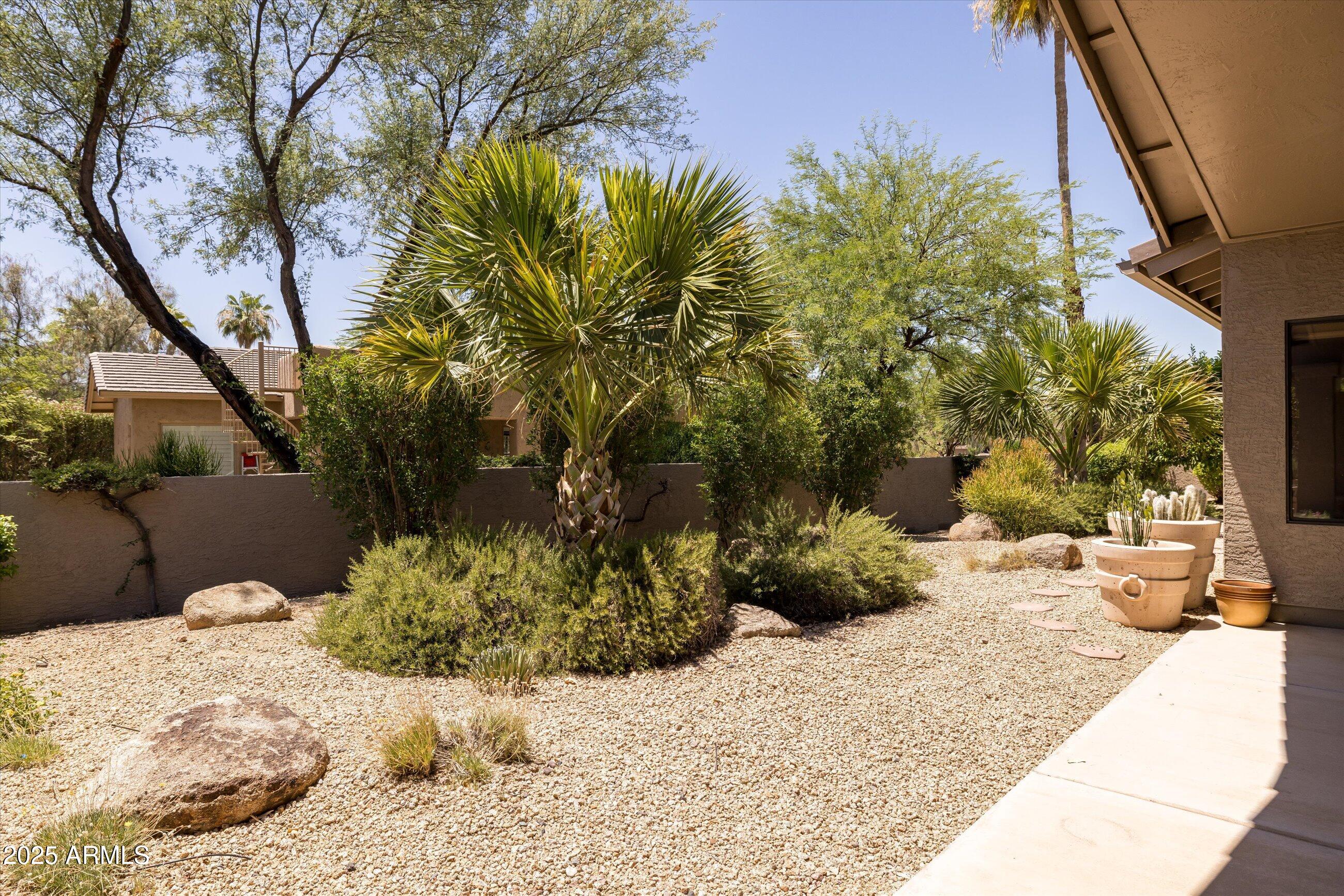 25821 North Bolero Bend Rio Verde, AZ 85263 - Photo 26 of 42 a view of a backyard of the house