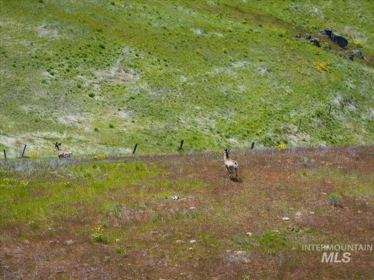 106-xx 106-xx Timber Butte Road Sweet, ID 83670 - Photo 32 of 47