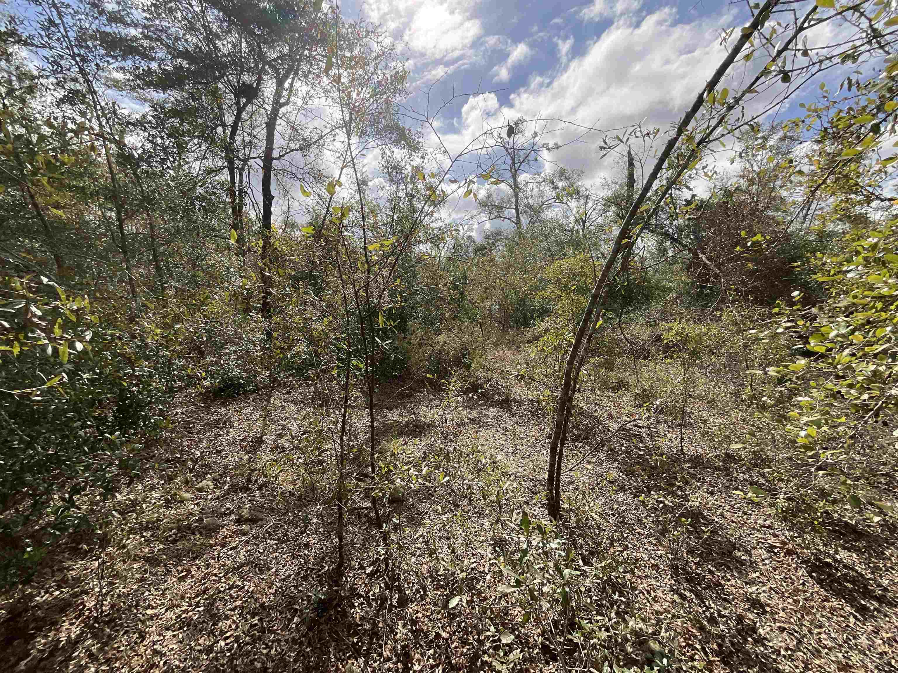 Vacant Southeast River Road Lee, FL 32059 - Photo 10 of 42 Gallery Image 10