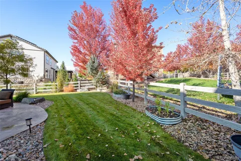 a view of a park with large trees
