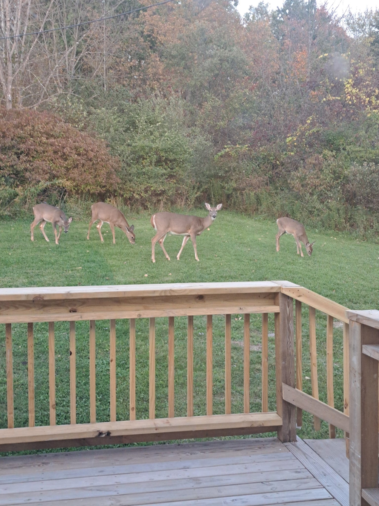 703 Powers Road Conklin, NY 13748 - Photo 17 of 27 Gallery Image 17