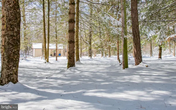 a view of a yard with snow on the road