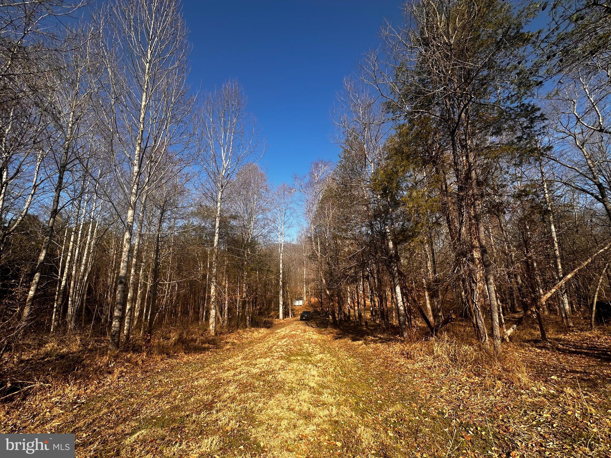 Lot 28 Marquis Road Orange, VA 22960 - Photo 1 of 17